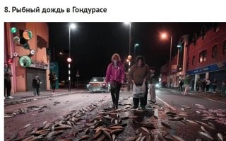 Насчет рыбных дождей уже давно не секрет. Смерч поднимает воду из моря со всем, что в ней есть. Над сушей распадается,всё захваченное падает на землю.  Если че, таким образом даже коровы с неба падали.