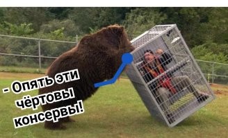 Кадьяк: остров медведей-гигантов