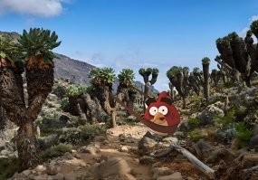 Намешалось