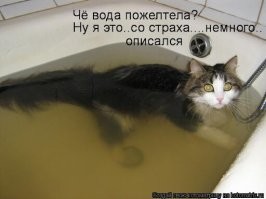 Учёные откопали в Сибири зомби-вирусы и боятся новой пандемии