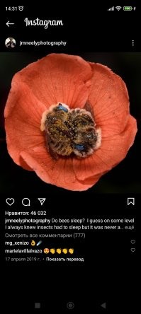 Этой новости сто лет в обед.