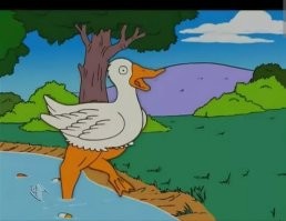 тут, правда, не курица, но...