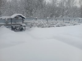 Я в курсе. У меня родители, как ковид начался, на дачу уехали жить. 
А там 30 соток. Есть где покосить и где покопать.