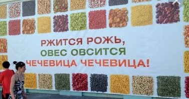 Мировой рекорд экспорта пшеницы, место России в мировом земледелии и импорт зерна в СССР