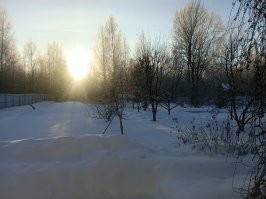 Я в курсе. У меня родители, как ковид начался, на дачу уехали жить. 
А там 30 соток. Есть где покосить и где покопать.