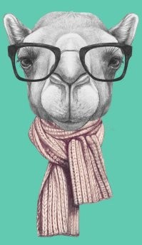 Может они там не дикие, а вполне культурные?