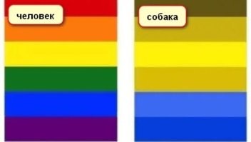 Верхний - красный. Нижний - зелёный....