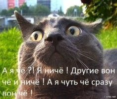 30 довольно любопытных снимков обо всём на свете