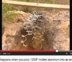 Есть вообще на поток поставленное изготовление "предметов искусства". Заливают муравейник расплавленным алюминием.