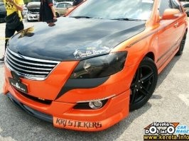 Это тоже тигр камрюха))))