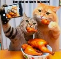 Мемы из соцсетей. Свежак за 21 января