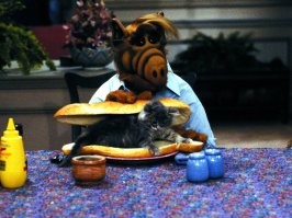 Пугающая инфографика: энтузиасты подсчитали, сколько животных съедает человечество за год