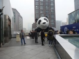 Вот эта панда. Лезет на крышу дома.
В Чэнду я был в командировке.  А тут в выходной гуляем по городу.