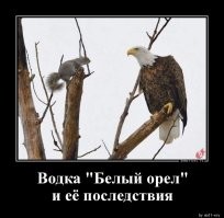 Намешалось