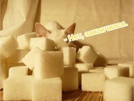 Скрины из соцсетей&nbsp;