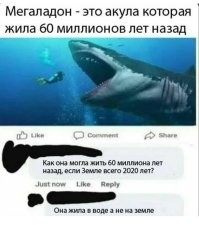"Отмечаю, что нашей планете исполнилось 2024 года": глупость людей VS нелепые ошибки