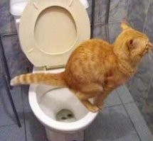 "Всё учтено могучим ураганом! " (с)