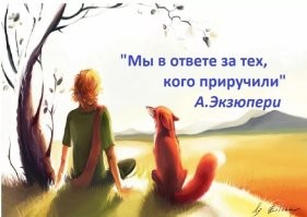 В Подмосковье из электрички выбросили пса после того, как высадили его пьяного хозяина
