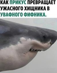 уместный баянчик