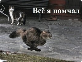 «Они специально не закрывают шторы»: в Волгограде пожаловались на участниц «развратной» школы танцев, на которых с удовольствием глазеют все проходящие мужики