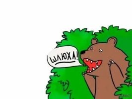 Мать с братом перепутала