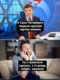 Огромную партию наркотиков на 13 млрд рублей задержали в Большом порту Петербурга