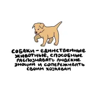 Вот это далеко не факт: