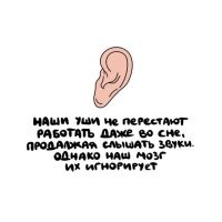 Хотелось бы... да только нифига он не игнорирует.