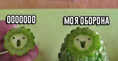 Мемы из соцсетей. Свежак за 24 января