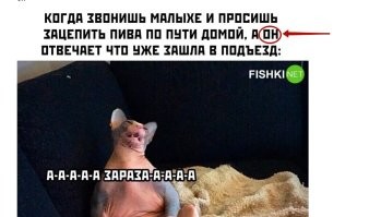 Он уже до откровенной пропаганды ЛГБТ скатился...