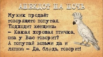 В зоопарке придумали «опасный метод» перевоспитания матерящихся попугаев