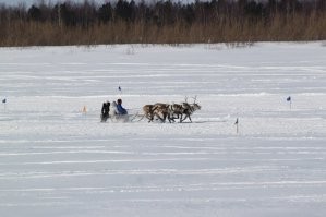 В ответ на западный флешмоб с унитазами россияне запустили тренд "Докажи, что ты в России!"