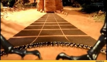 Муравьи водят "хоровод" под AC/DC