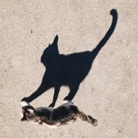 Как нарисовать тень