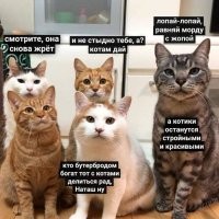 Коту тоже хочется, побоку ему диеты)