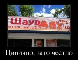 17 презабавнейших ценников, которые заставили покупателей знатно посмеяться