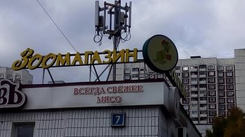 Необычные и смешные названия и вывески, которые привлекают внимание