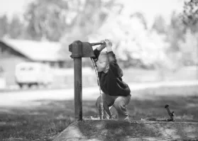 Велосипед выдаеет