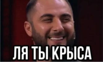 Вот что думает кот.