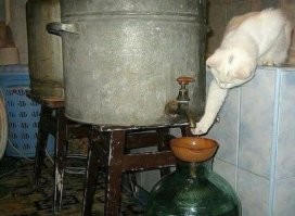 Может и обед.