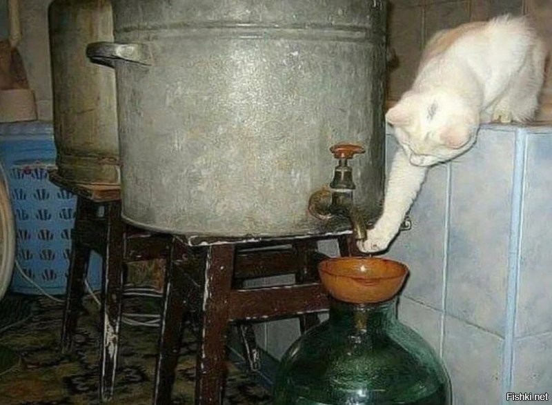 Может и обед.