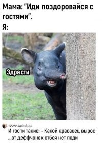 Мемы из соцсетей. Свежак за 27 января