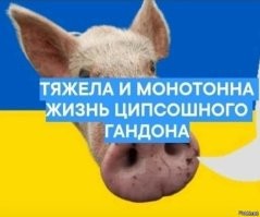 борька надеждин, ты ли это?  или всё таки скотиняка с Окраины