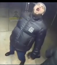 Спермоприёмник открыл. Осла хочет.