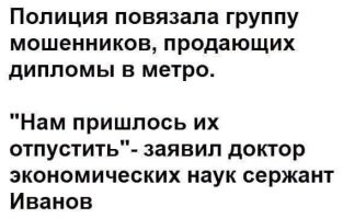 Ученые выяснили, что больше всего нравится смотреть по телевизору собакам