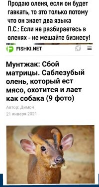 Мемы из соцсетей. Свежак за 27 января