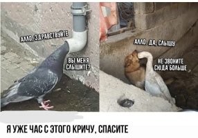 Не ищите здесь смысл. Здесь в основном маразм