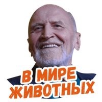Национальность, разумеется называть нельзя. Просто стая обезьян, дерущихся за лидерство.