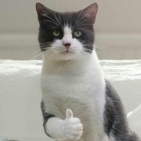 У Сникерса в доме столько развлеку разных)
