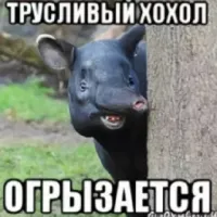 Охрана блогера Инны Тлиашиновой напала на корреспондента "Известий", выставив её на снег в носках